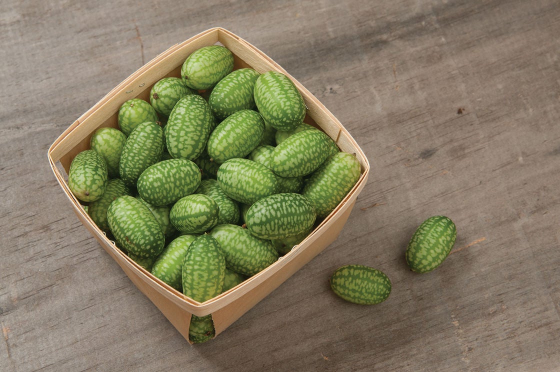 Please Meet the Magical Cucumbers That Will Change Your Mind About