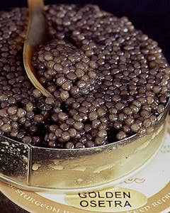 Luxurious Caviar