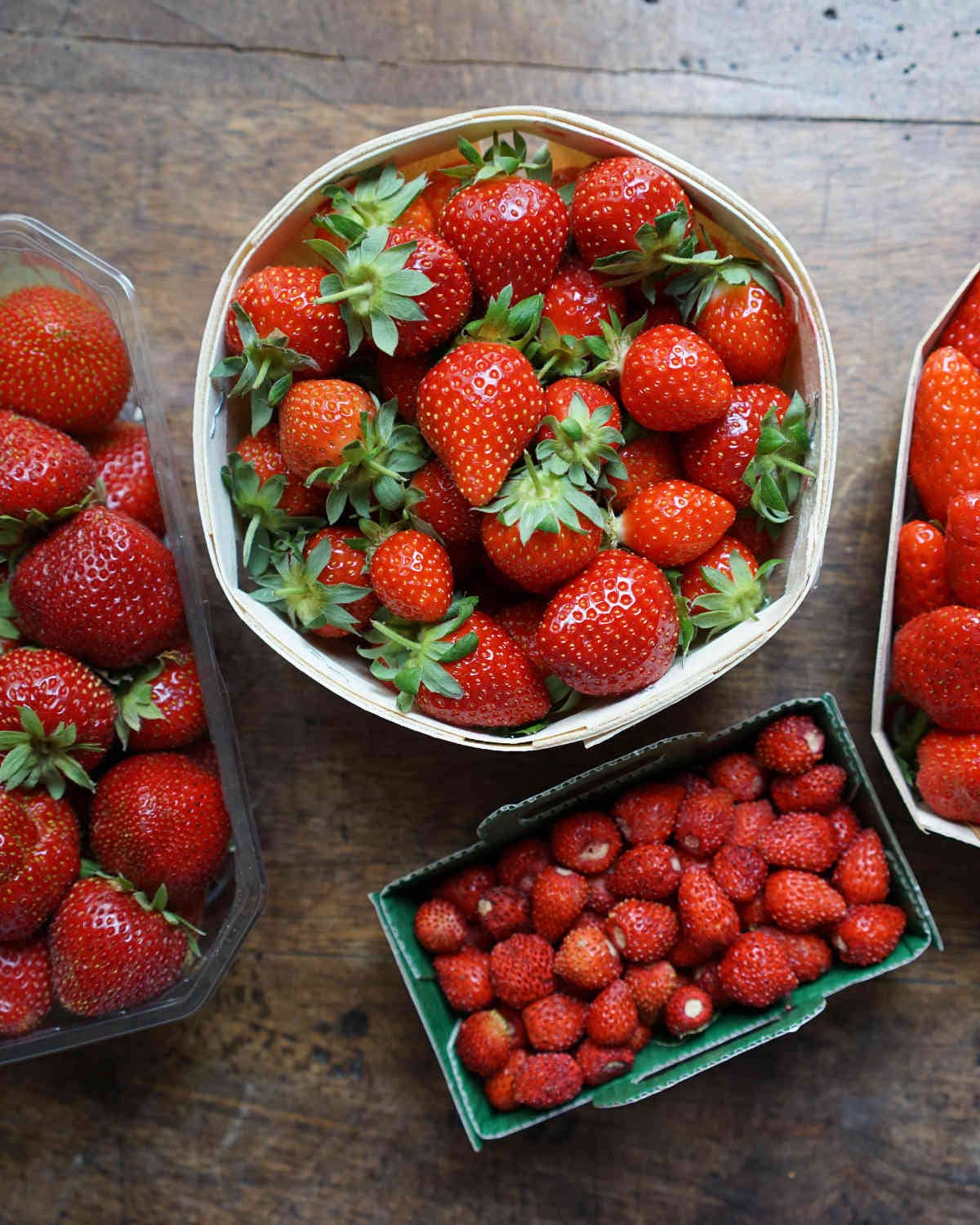 Strawberry Types