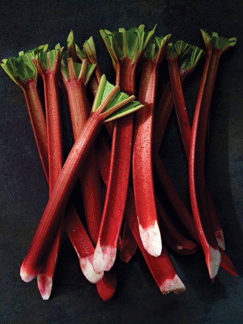 Good Stalk: Rhubarb | Saveur