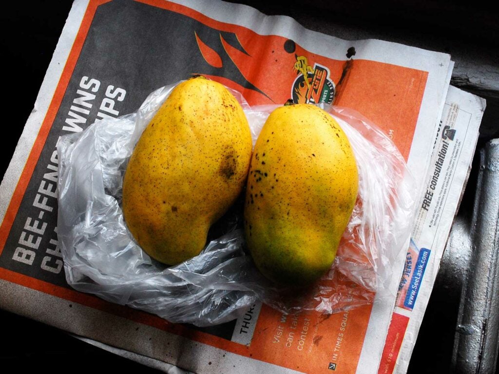 "Mango