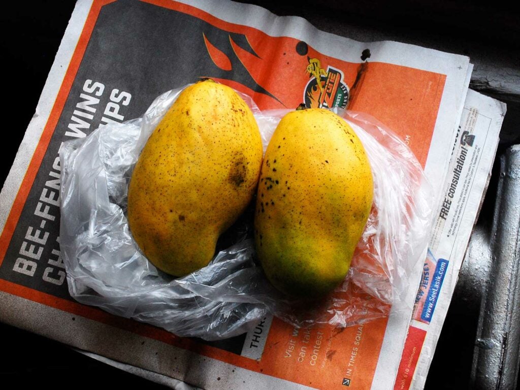 Mango (Xoài)