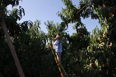 httpswww.saveur.comsitessaveur.comfilesimport2011images2011-087-san_4.jpg