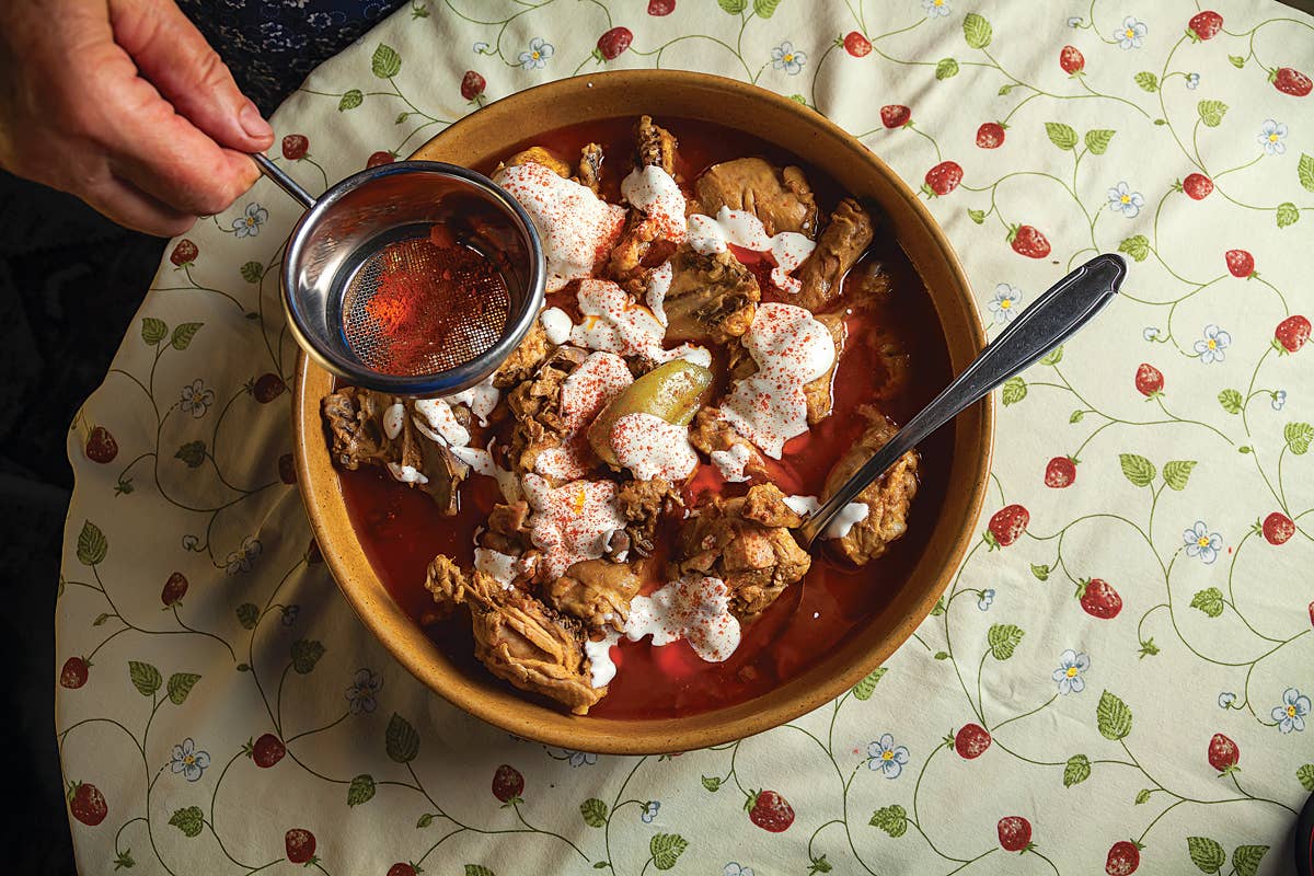 Chicken paprikash