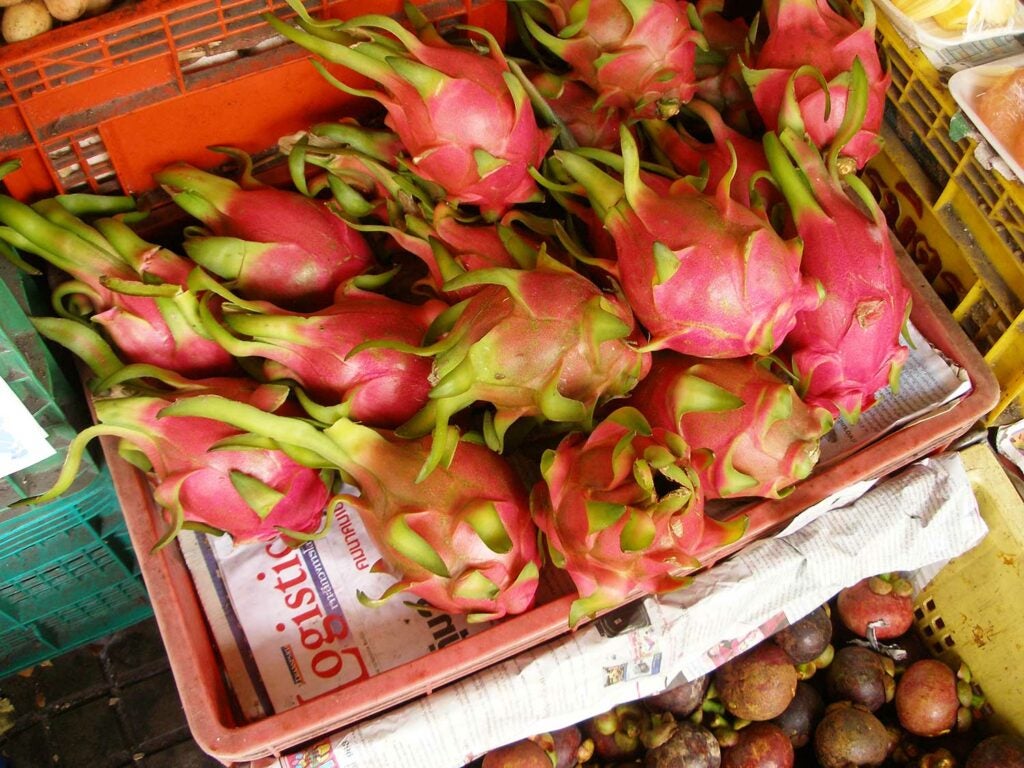 Dragonfruit (Thanh Long)
