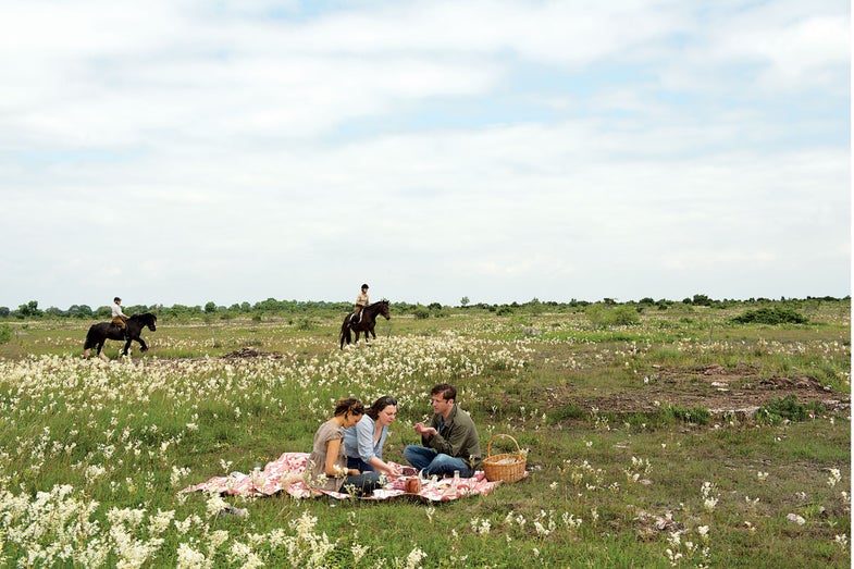 feature-midsummers-dream-picnic-in-field-1200x800-i166