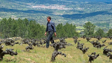 Natural Spanish Wine: Meet The New Vanguard