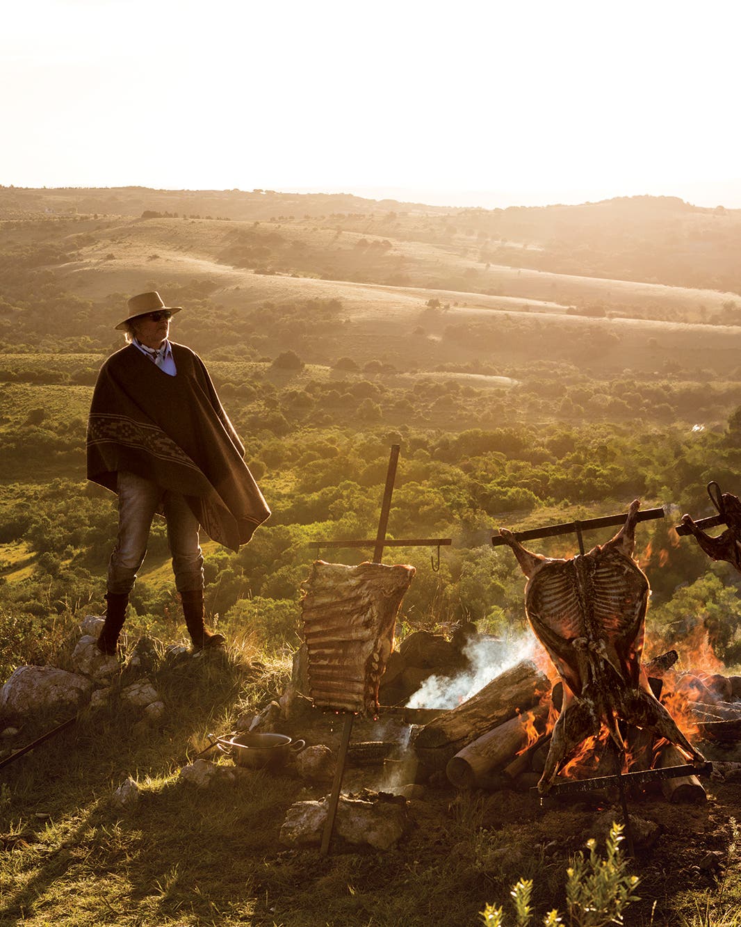 Cook in the Wild Cook in the Wild