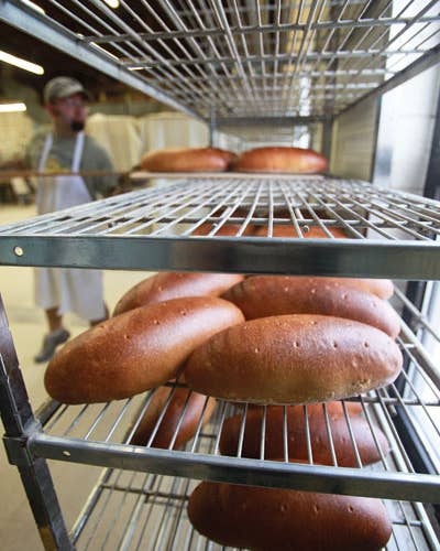 Bread Alone: In Search of the Best Rye Bread in America