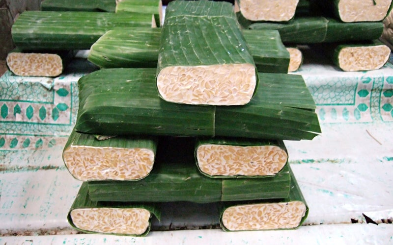 tempeh