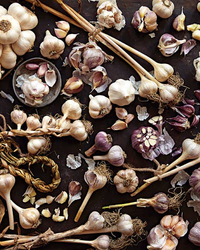 The World of Garlic