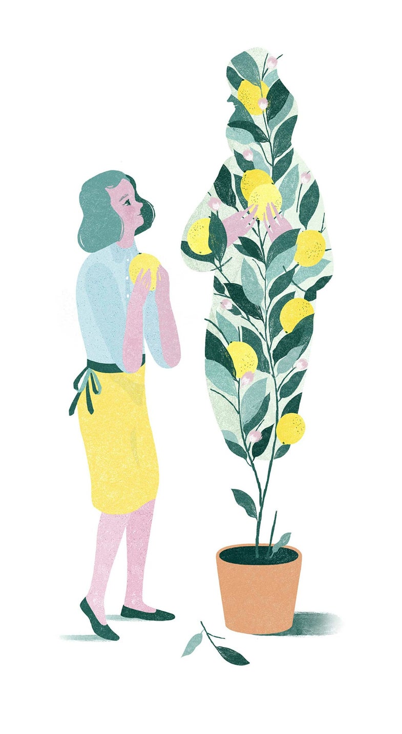 lemon tree