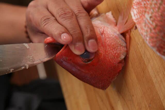httpswww.saveur.comsitessaveur.comfilesimport2008images2008-04634-112_morimoto_knives_5_480.jpg