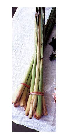 httpswww.saveur.comsitessaveur.comfilesimport2008images2008-04634-13_lemongrass_12_480.jpg