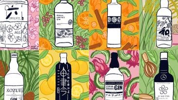 Japanese Artisanal Gin Is The Ultimate Distillation of the Country's Local Produce