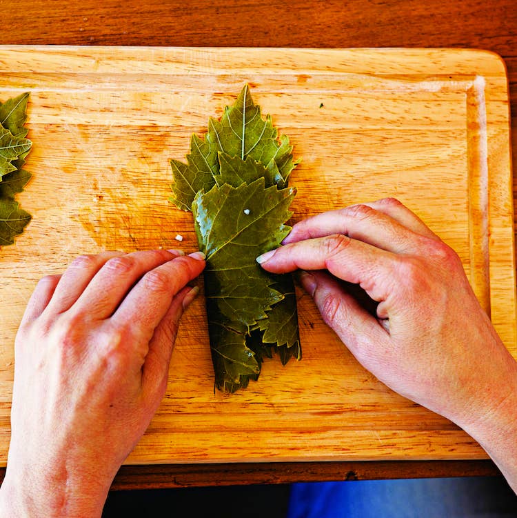 httpswww.saveur.comsitessaveur.comfilesimport2013images2013-047-technique-grapeleaves02-750.jpg