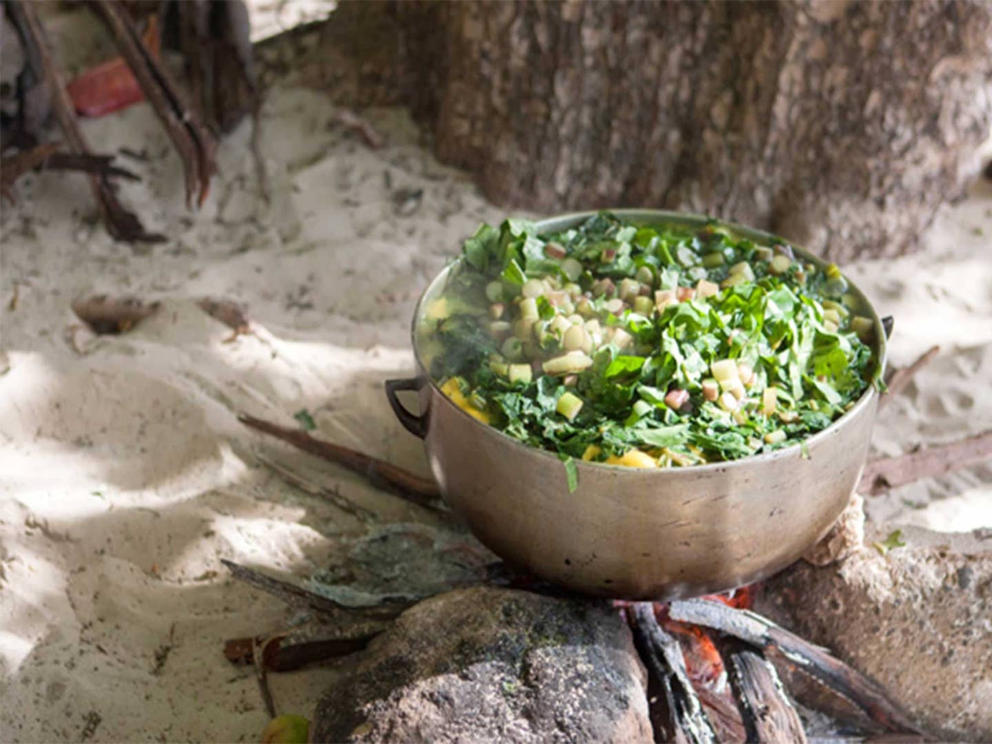 SAVEUR’s Caribbean Island Guide: The Best Places to Eat, Stay, and Explore