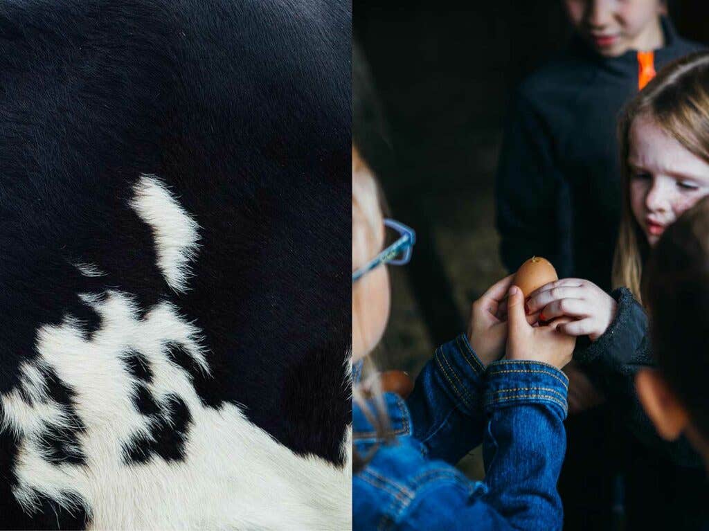 children learning on sprout creek farm