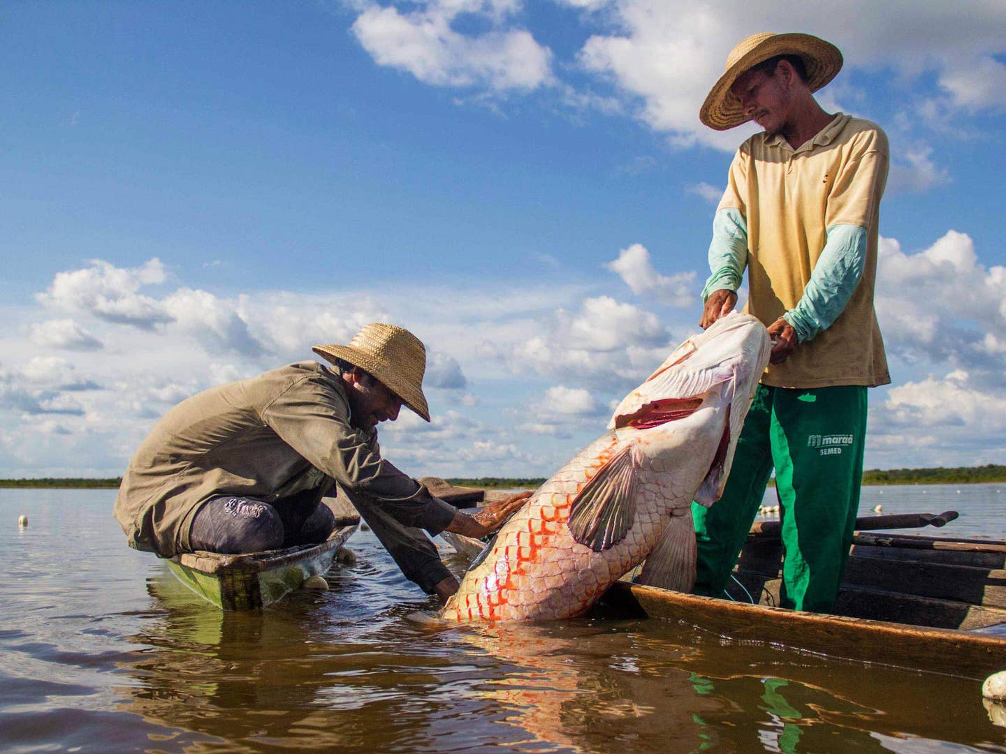 Solar-Powered Ice Makers Are Changing How This  Fishing Community  Makes a Living