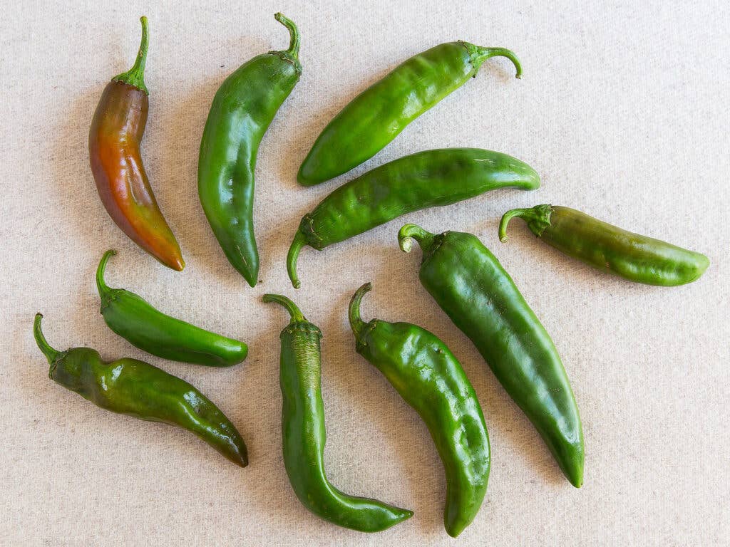 hatch chiles