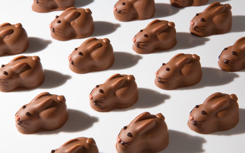 Chocolate Bunnies