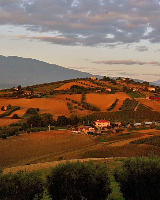 Chasing Abruzzo’s Unicorn Wines