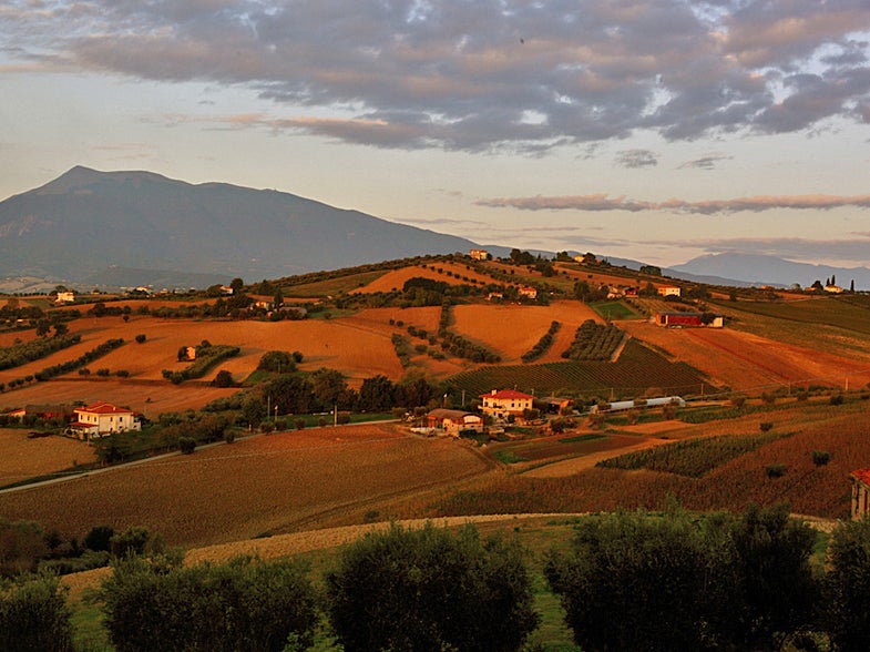 Abruzzo, Roadtrip, Emidio Pepe