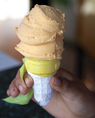 Sweet Break: Lucuma Ice Cream