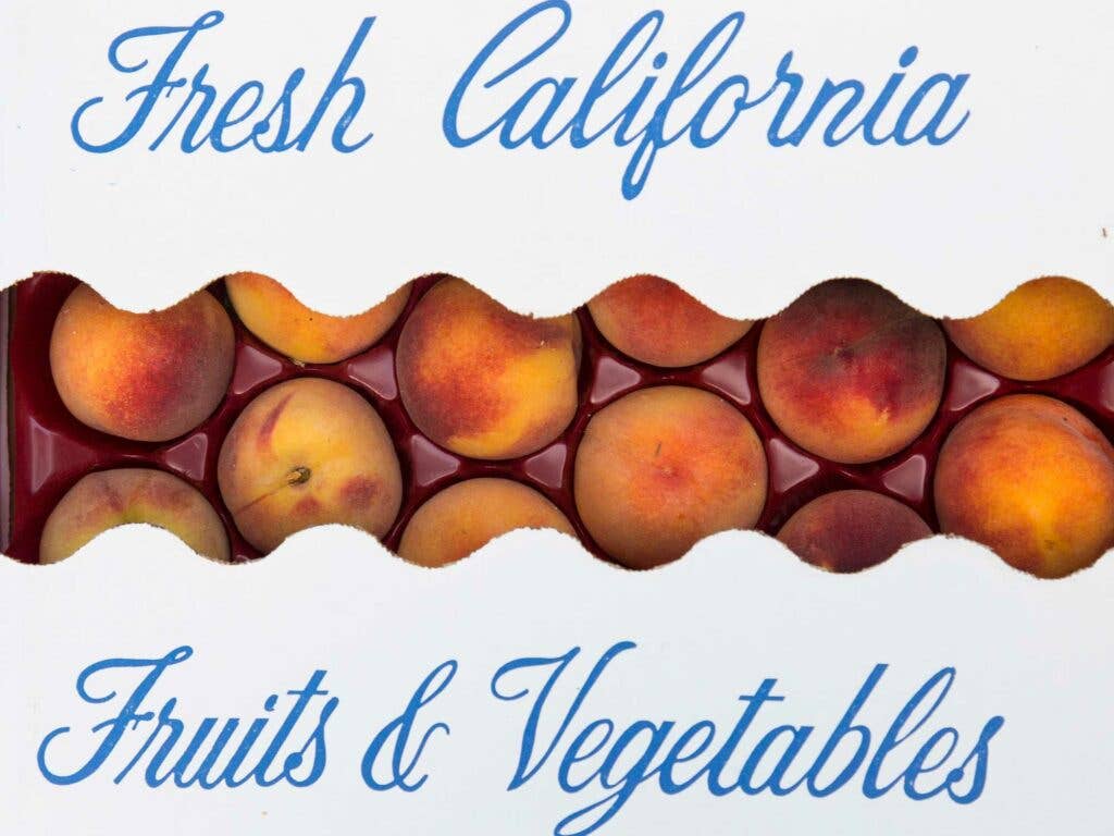 california apricots