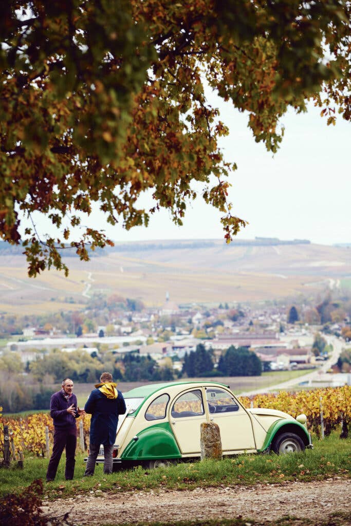 Chablis vineyards