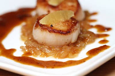 Scallop