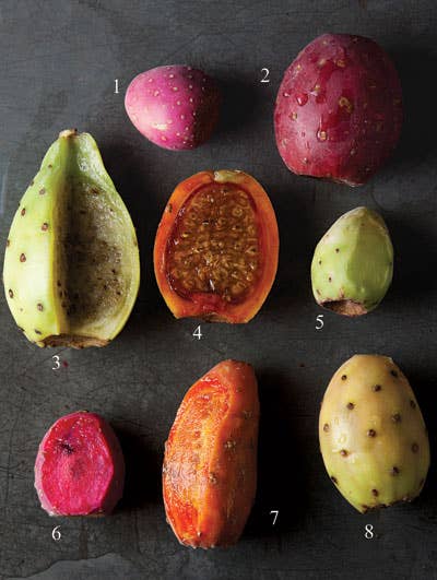 Juicy Fruit: Mexico’s Prickly Pear Cactus Fruits
