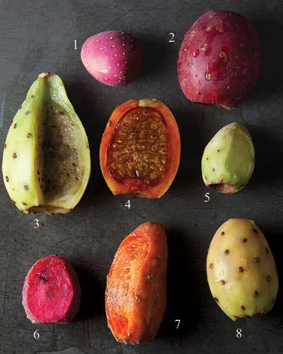 Juicy Fruit: Mexico’s Prickly Pear Cactus Fruits