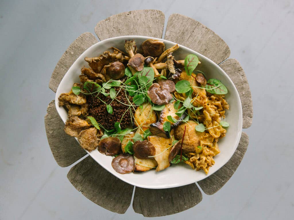 grilled mushroom salad