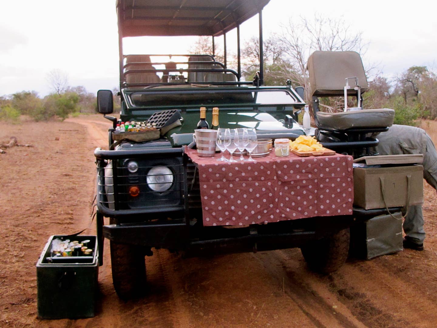 How to Toast the End of Your South African Safari