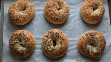 Wise Sons Jewish Delicatessen is Feeding Tokyo’s Bagel Obsession