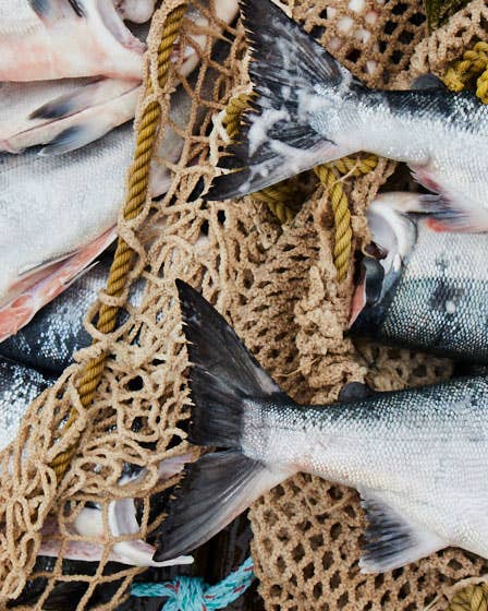 How to Eat Seafood Responsibly: A Guide from Chef Eric Ripert