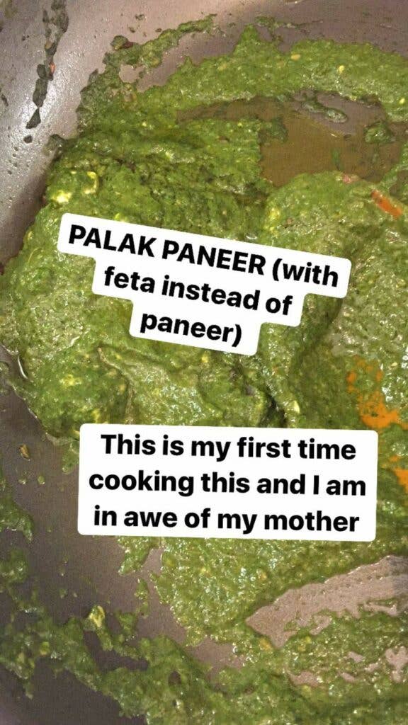 palak paneer