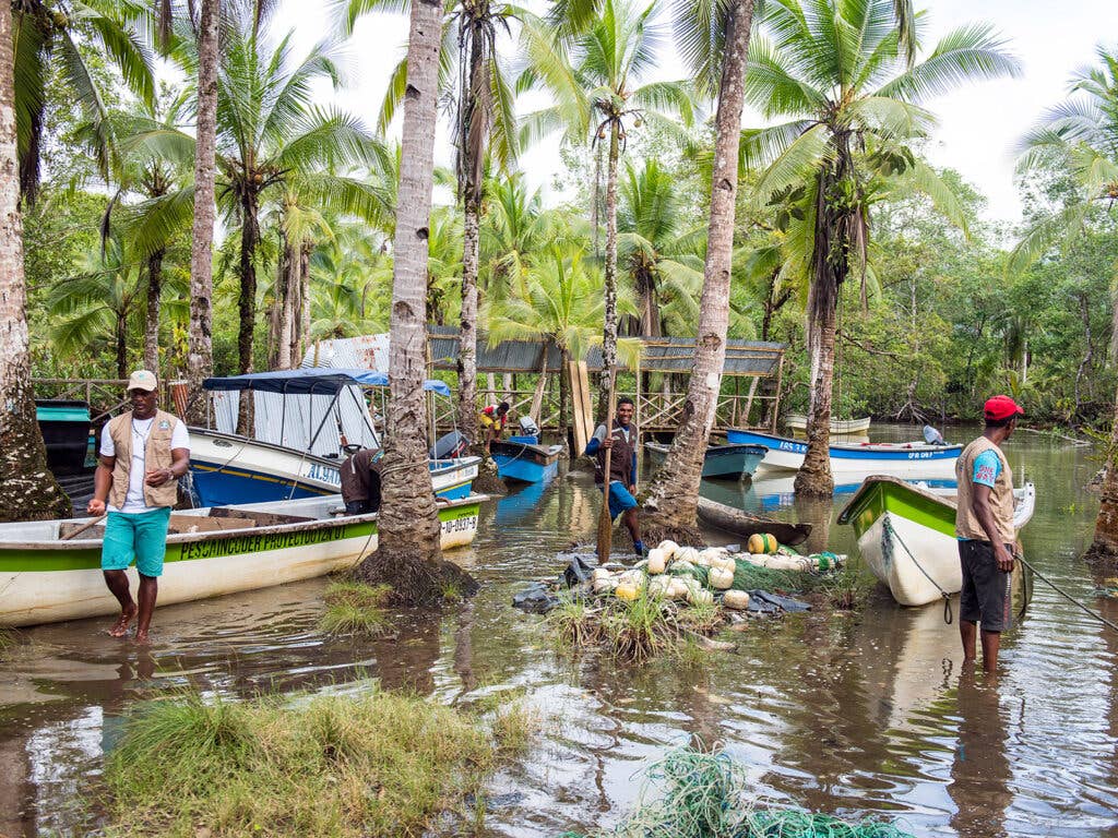boats along the village of Coquí