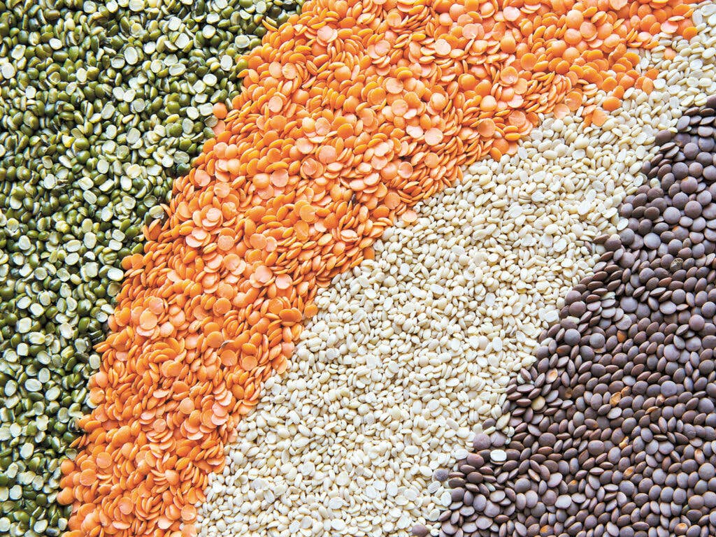 assortment of lentils separated by color