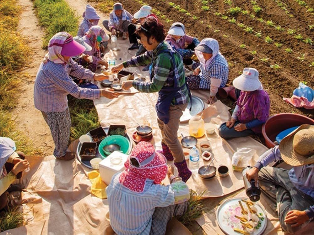 Farmers gathering in field for Saecham