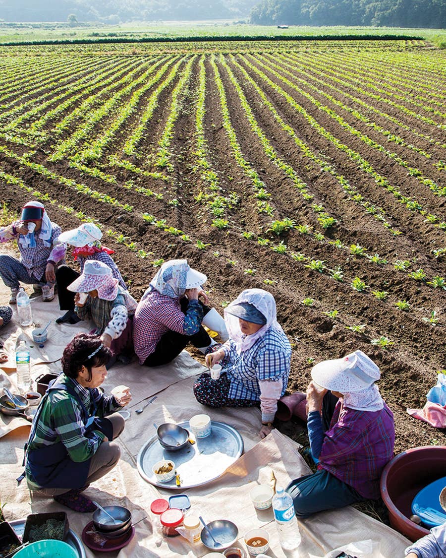 This Communal Meal Is How Korean Farmers Get Through the Day