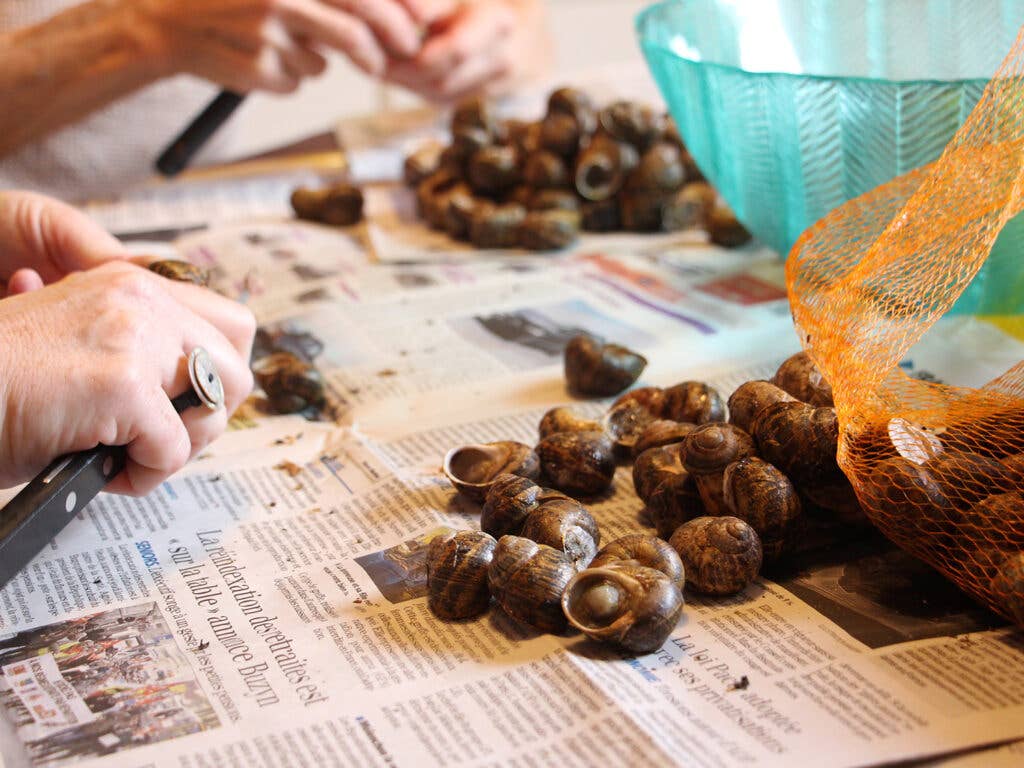 snails being prepared on top of newspaper