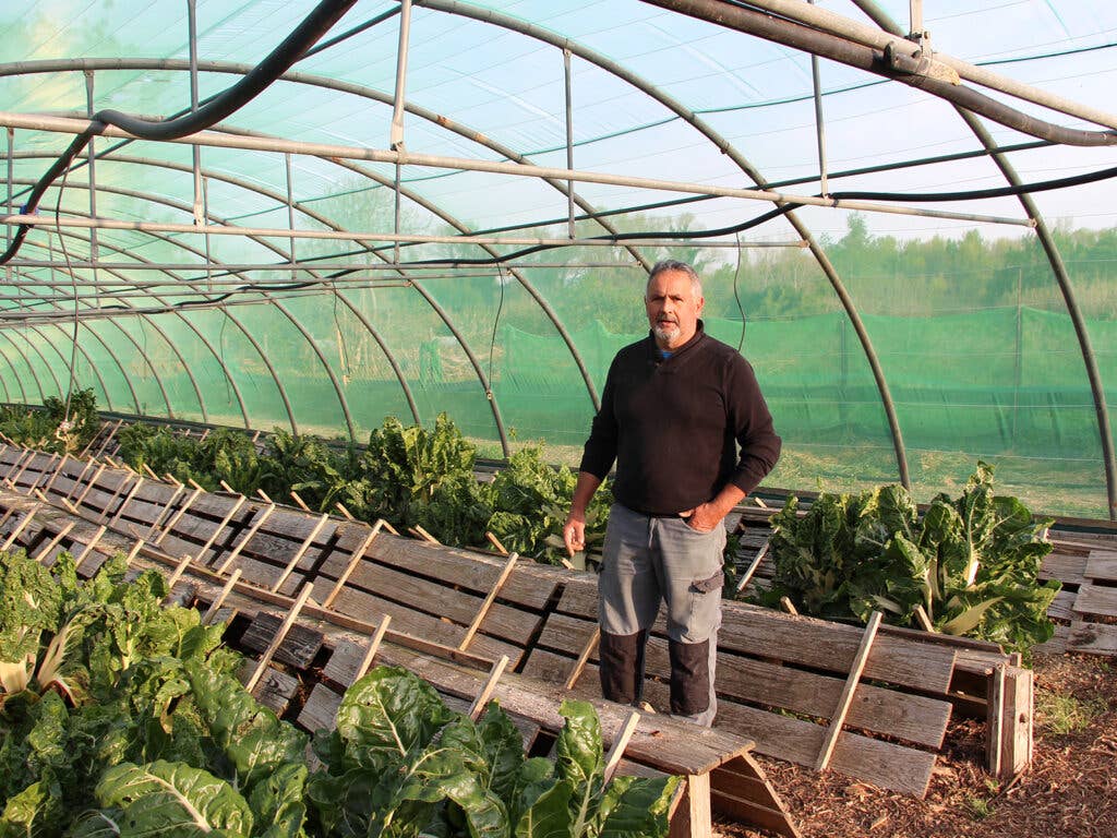 Lorenzo Sanchez at his snail farm