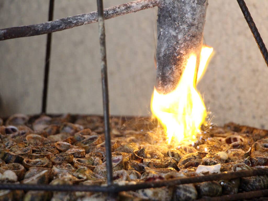 flaming lard over snails on the grill