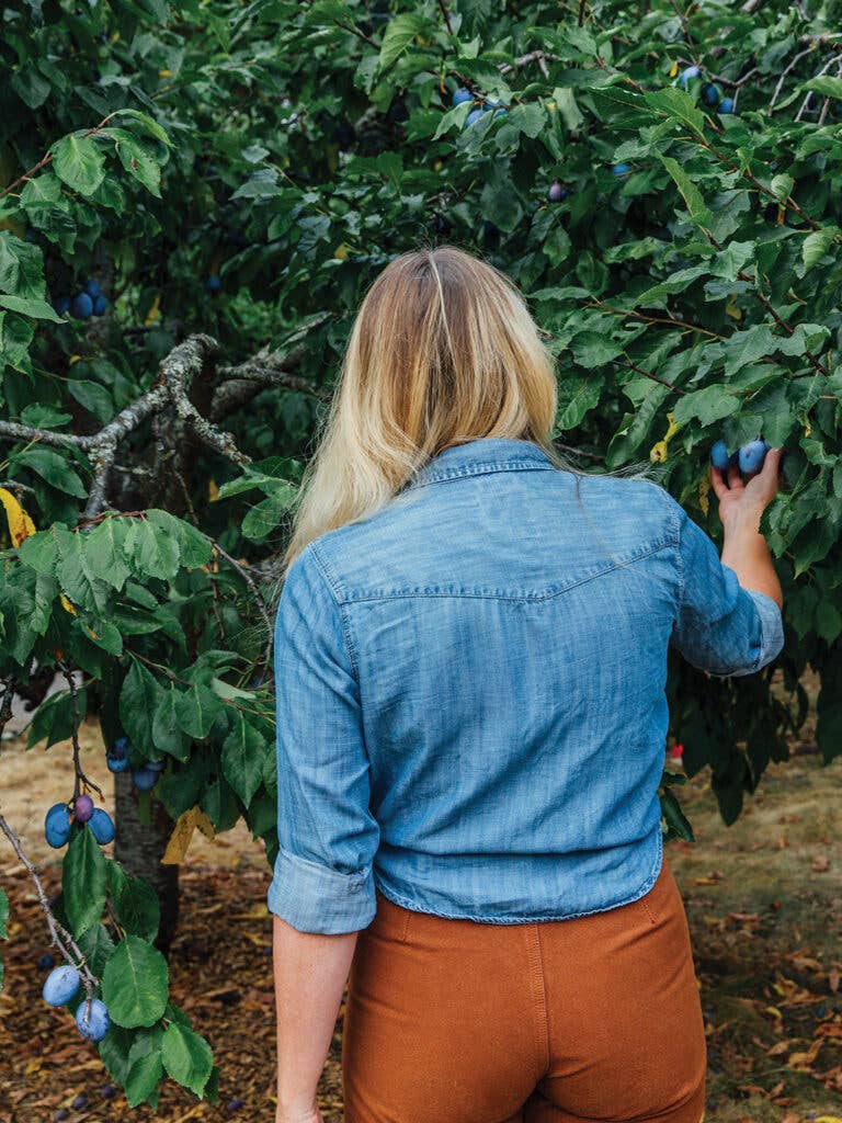 Audra Lawlor reaching for an Italian plum