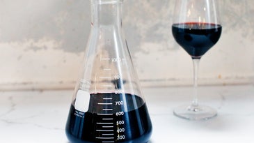 The Best Wine Decanter Is a Piece of Lab Equipment
