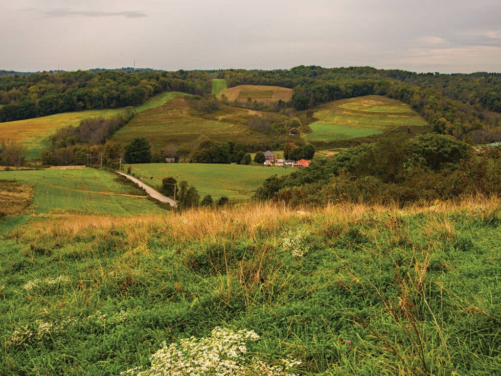 grassy hills of northern Appalachia