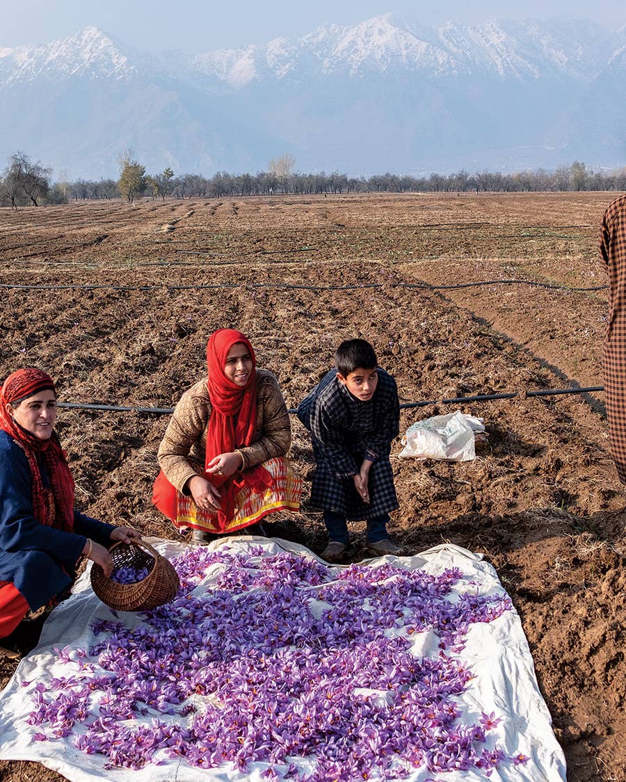 The World’s Finest Saffron Is in Danger of Disappearing The World’s Finest Saffron Is in Danger of Disappearing