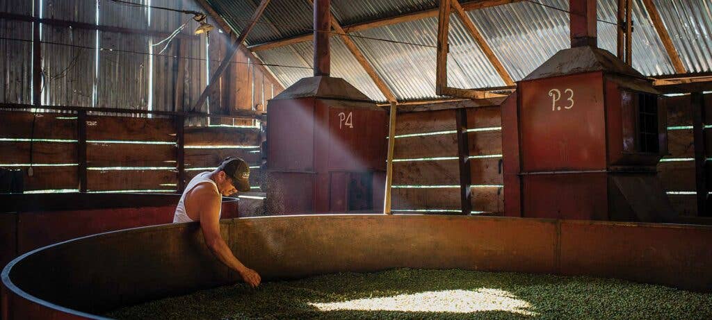 Central American farmer